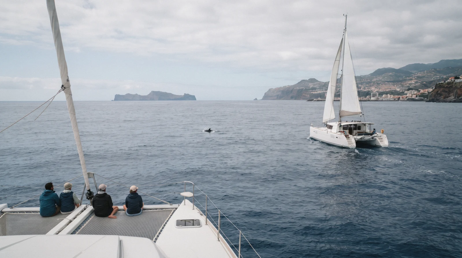 A catamaran leaving Funchal bay towards the Desertas Islands on one of the Madeira day trips by sea