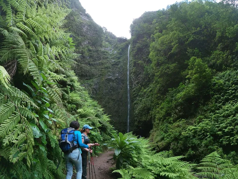 A waterfall dropping into a green pool at the end of the Caldeirão Verde levada trail on a Madeira levada walk in Santana, Madeira