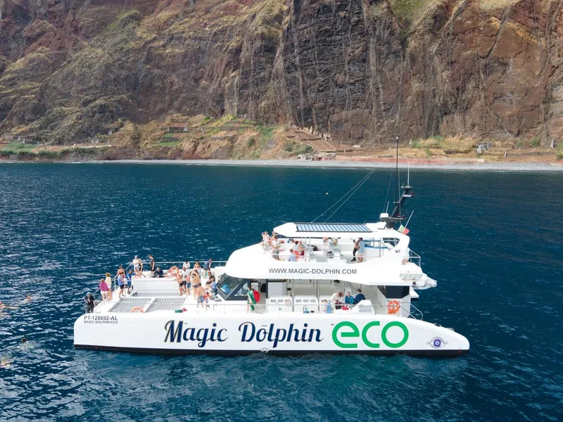 A pod of dolphins riding the bow wave of a catamaran off the coast of Funchal on an Ecological Catamaran dolphin and whale watching tour in Funchal, Madeira