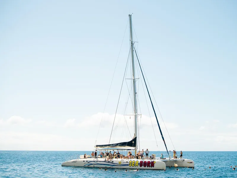 Passengers on the bow net of a catamaran scanning the water for dolphins on a Funchal dolphin and whale watching catamaran cruise in Funchal, Madeira